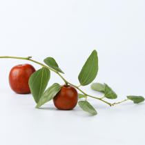 泗洪大枣新鲜水果鲜枣 脆枣散装/斤