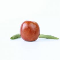 泗洪大枣新鲜水果鲜枣 脆枣散装/斤
