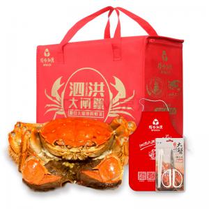 泗洪大闸蟹母蟹